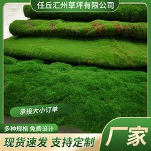 ������̦��ƺ�Gɫֲ���΢���^���̼�̦�\�쾰�b�ȫ䁷���̦�\