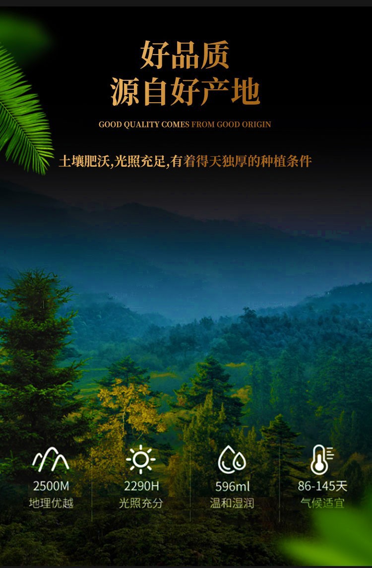 Dried Ginger Shreds Gan Jiang Si 70g x 2 Jars Shredded Zingiber officinale Rhizome for Ginger Tea and Cooking key features