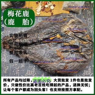 ÷��¹��ֻ��¹̥¹̥�P̥�������ɴ����÷��¹/�R¹��������