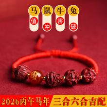 2026�����R����ɰ��Ф�t�K��Ů�������ϱ������ִ��б������o����