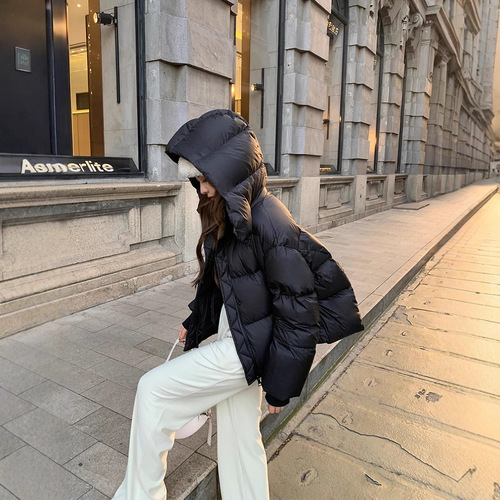 Women's Winter Short Padded Jacket - 2025 Fashion, Thick and Stylish, Han Style, Loose Design Padded Coat with Down
