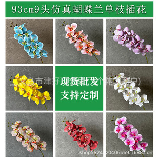 ���滨9�^3D�����m�Ƶ��c·�����Ż��zӰ�쾰�bٻ��F؛���l