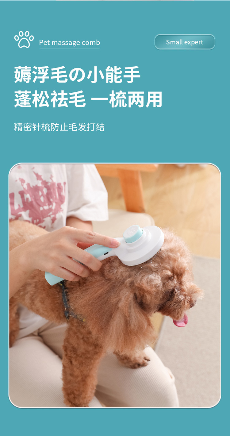 宠物梳毛器_11.jpg