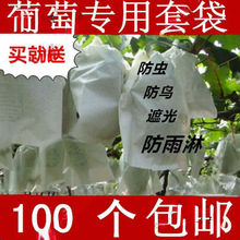 葡萄代子套果袋水果套袋纸套果子的袋子果树葡萄袋子防鸟防虫袋批