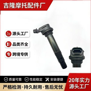 Shengshi 703 motosiklet üçün 1050961-002000 alışdırma bobini aksesuarları