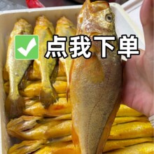 �������S�~���r�l؛���º��rˮ�a����\ݔ���r����S���~���l1.5