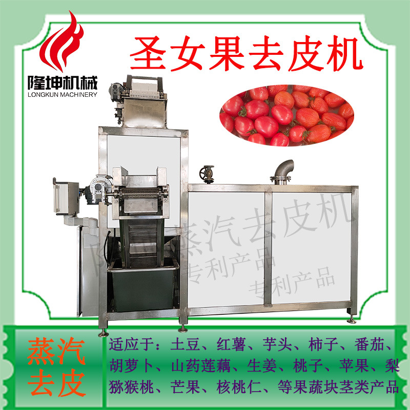 诸城隆坤圣女果去皮机 红薯土豆胡萝卜脱皮机 果蔬物理蒸汽爆皮机