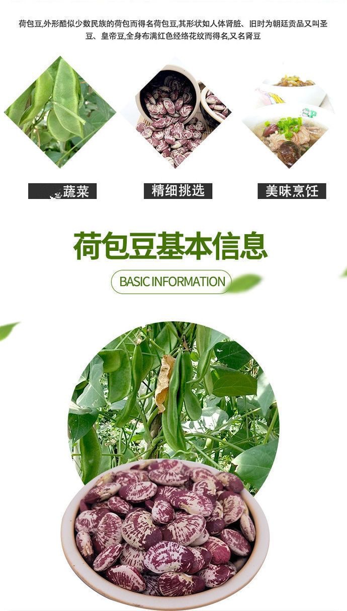 Zebra Beans Ban Ma Dou 500g Can Dried Kidney Beans for Soups and Congee key features