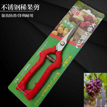 ɽٲP䓈@ּ@ˇܼժϡ ѼѼ轼