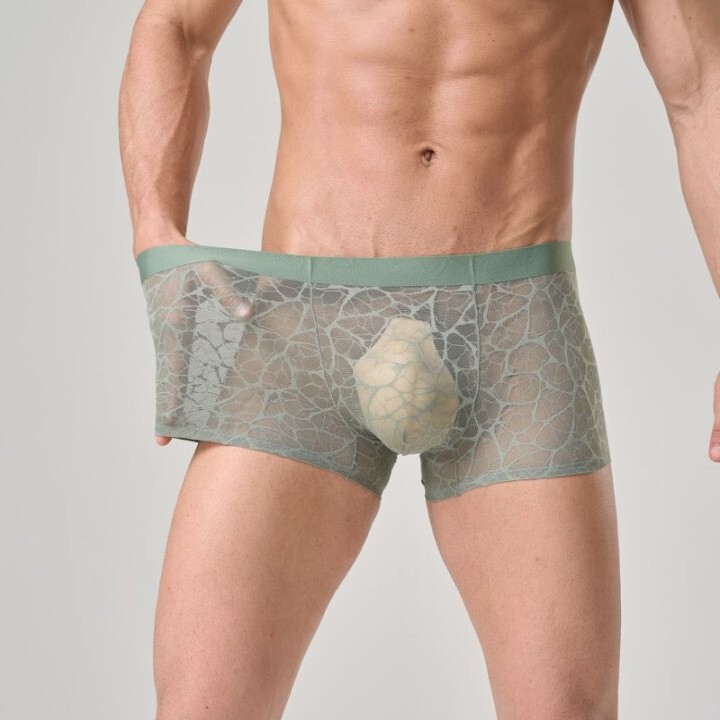 10A Antibacterial Camellia Fragrance Moisturizing Lace Leopard Print Jacquard Sexy Underwear Men's Lace Underwear