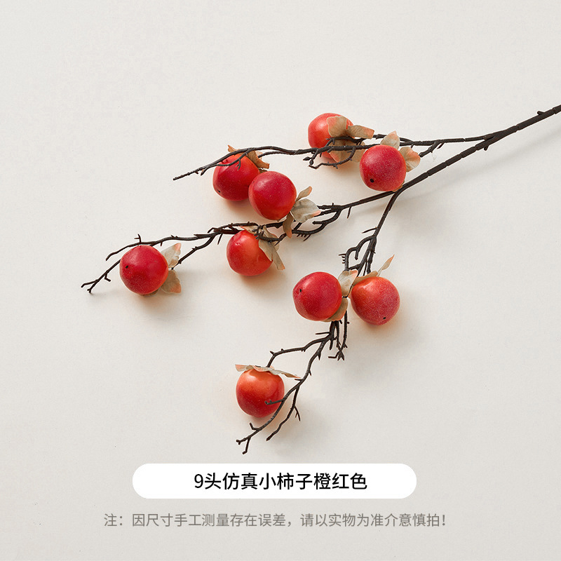 9개의 시뮬레이션 감 오렌지 레드