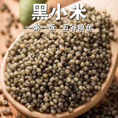 黑小米 500 г рисовое жирное просо черное просо оптом новый рис черный рис просо зерно просо разные зерна пшенная каша