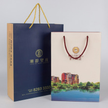 新年国潮手提袋包装袋订做广告企业会议礼品袋定制纸袋印刷logo