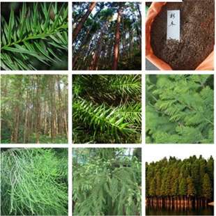 ���羳��؛����ɼˮɼ�N������ɼ�N����ɼ��N���~ɼ�N��ɼľ�N��