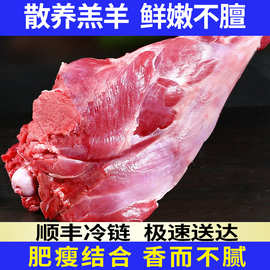 羊肋排羊肉新鲜现杀原切羊腿内蒙古整只全腿冷冻食材生鲜批发