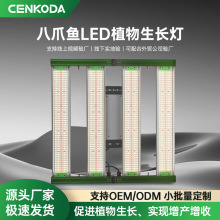 �S��ֱ�NLEDֲ�����L���ۯB��צ�~ȫ���V�����߲˷Nֲ�����a���