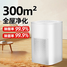 ���՚�������҃ȼ��ó���ȩ������؈ë������������С�̓����C