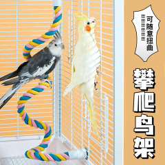 オウムのおもちゃは綿のひものおもちゃを登ります。