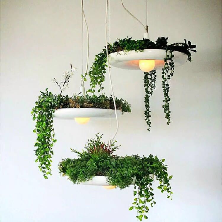 北欧家居室内照明简欧吊灯创意个性植物飞碟餐吊灯 蓝宸照明