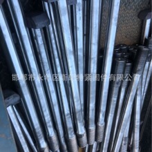 DIN261�h�ζ�T����˨ D�� YJT 10736 T�͎�����˨ DIN188T���ݽz