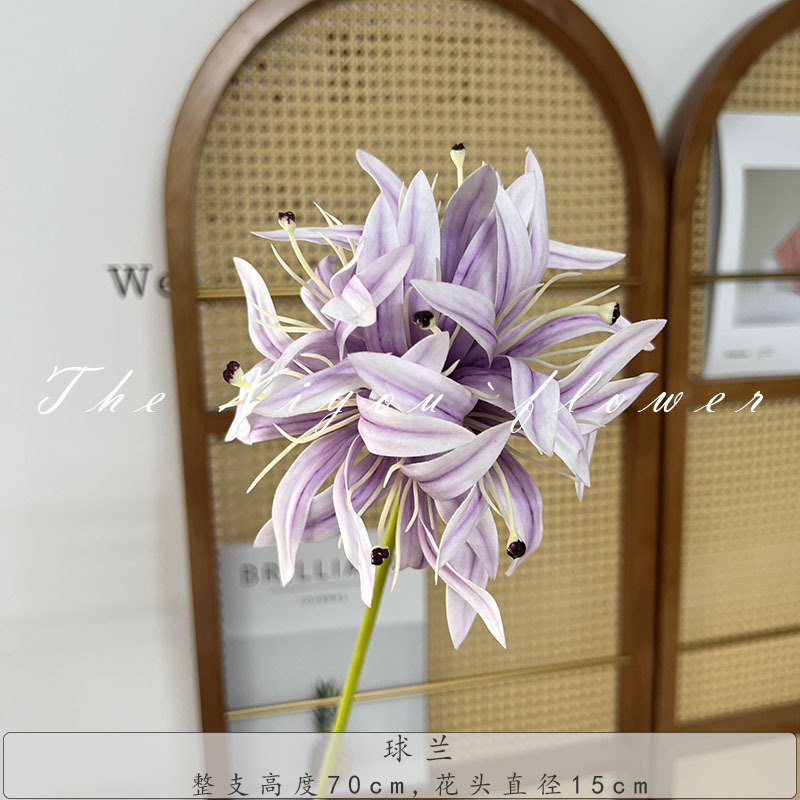 볼 블루-라이트 퍼플