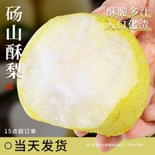 �������ڴXɽ�����殔��ˮ�����r�Fժ���ջʴ��������������ѩ��