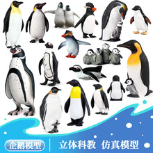 �羳��ͯ��֪���溣����ģ����߱������ۻ����ʵ�����ڼ�