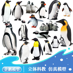 �羳��ͯ�J֪���溣�����ģ����߱��O���Z�ۻ����Z�������Z�[��