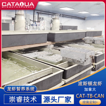 加拿大波斯顿龙虾暂养系统 海鲜PP暂养池 龙虾养殖蛋白质分离器