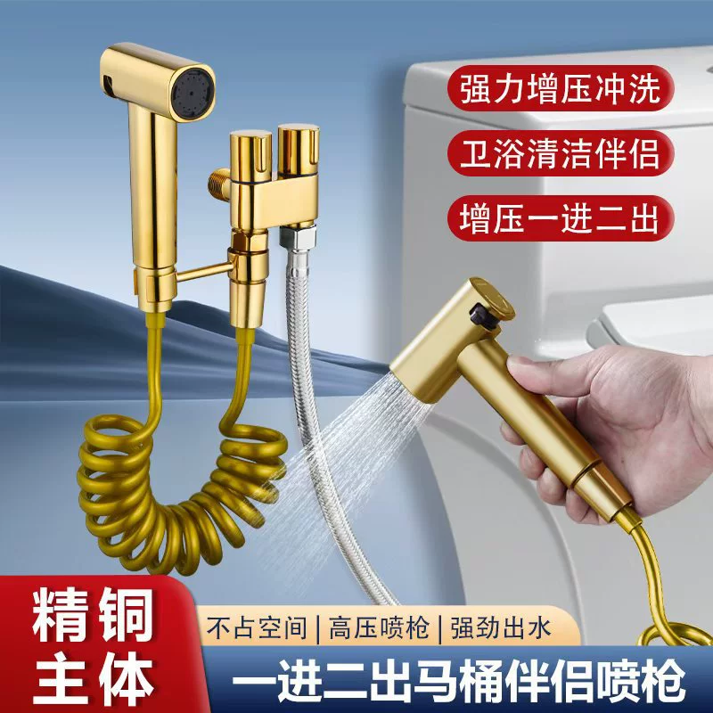 Домашний туалет компаньон один в два и два угловых клапана в туалете