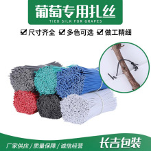 10000����\�����Fо0.55 0.7 0.9֦�l�J�������� �@���������z