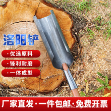 锰钢洛阳铲大号打洞打桩移苗神器考古勘察圆筒铲掏洞神器钢铲