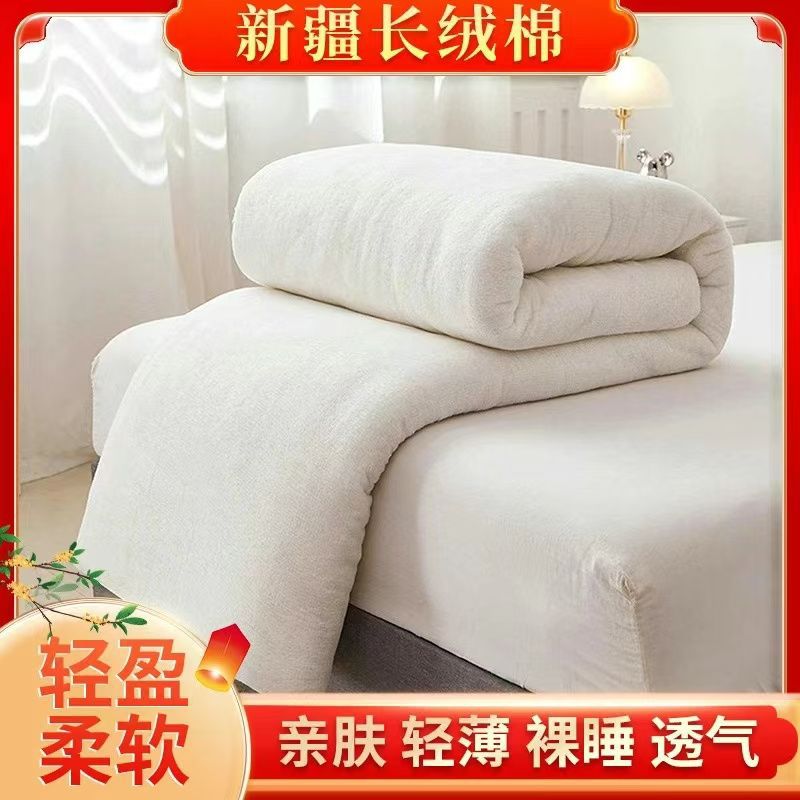 Xinjiang Cotton Quilt Core Spring and Autumn Quilt Winter Quilt Cotton Quilt Mattress Student Dormitory Upper and Lower Bushes Thickened Warm