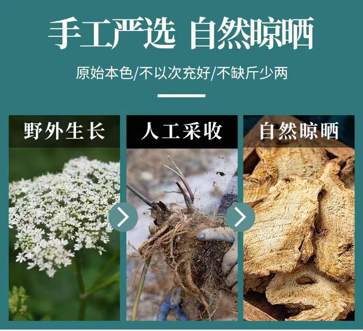 Du Huo Slices (Angelica pubescens) — Sichuan Dried Herb, 500g quality and texture