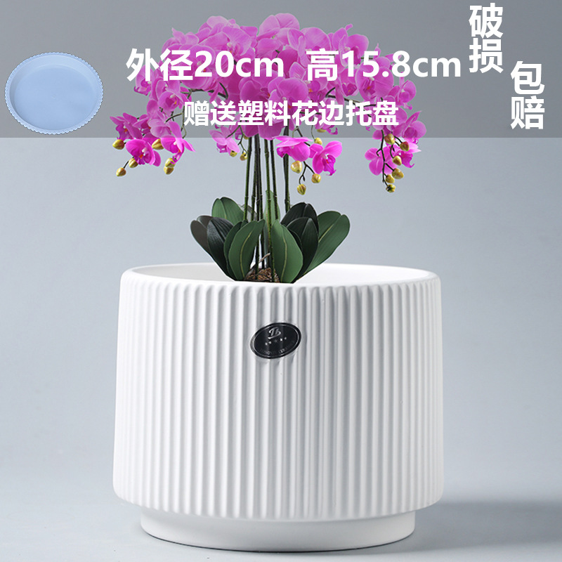 マット特大アテネ古代磁器白（プラスチックトレイ付き） / ビッグセラミック