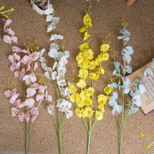 �ӹ����Ʒ��滨�����m�����m���l��غ����m��c�ٻ�INS�羳�b�