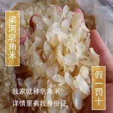 ���Ұ�����������ׄe������ѩɏ�ӆ��v�������l������