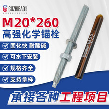 M20*260高强化学螺栓可水下安装建筑工程锚栓多规格化学锚栓批发