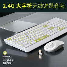 �o�������I�P �����w���I�P���ַ��m��������ҕ�k���o���I�P���