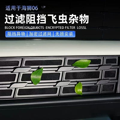 Byd Hiace 06Ev/Dmi Insect-Proof Net: Automobile anti-insect net
