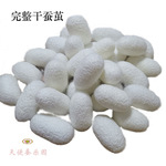 完整天然蚕茧美工蚕茧白色茧子彩色蚕茧干茧活蛹茧洁净高品质
