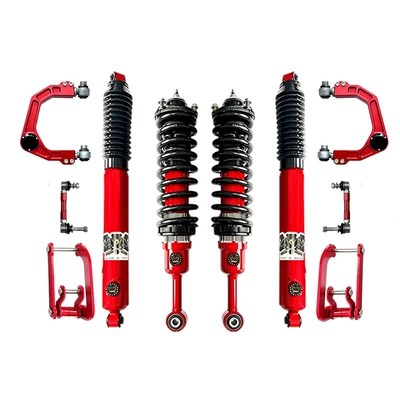 shock absorber, damping system