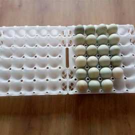 恒信30枚塑料蛋托鸡蛋托全封闭蛋托不漏蛋液