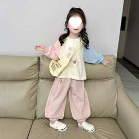 2026春季新款女童插肩袖小象卫衣卫裤中小童儿童甜美可爱春游穿搭