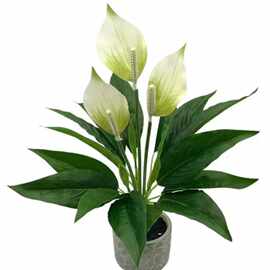 仿真花红掌道具塑料花绿植一帆风顺花盆栽桌面摆件家居人造花装饰