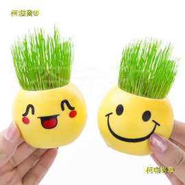 娃娃小盆栽小草迷你植物微景观创意长草表情草坪种草头上浇