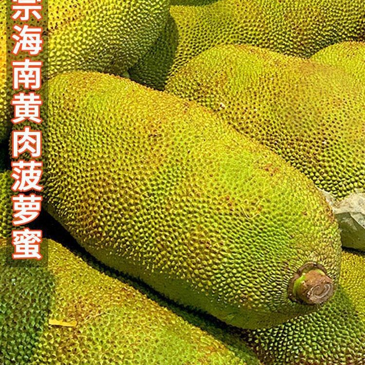 Hainan Sanya Jackfruit Fresh Fruit Durian Seasonal Whole 20-40kg Full Box Free Shipping Red Flesh