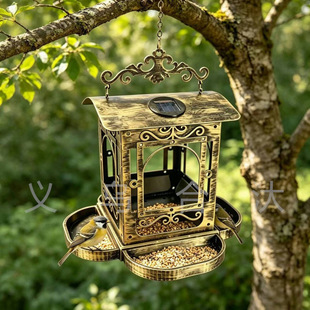 �羳2026���¿���ُ͹�̫���ι�Bͤbirdfeeder���⻨�@�Ғ�ʽ