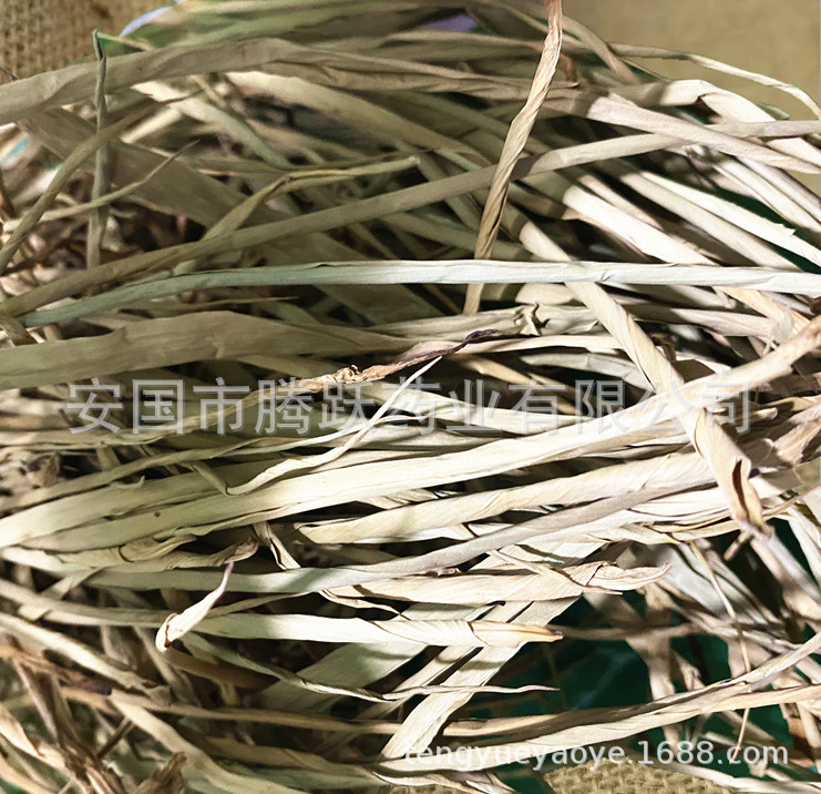 Dried Bamboo Leaf Heart Zhu Ye Juan Xin Loose Herb 500g for Decoction and Tea overview