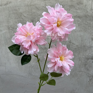 3�^ܽ��ĵ���� ��c���滨��Y�þƵ�ܛ�b�廨���Ļ���ɫϵ���滨